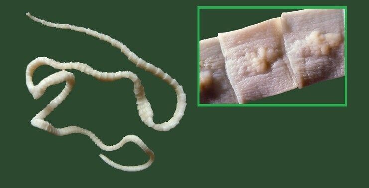 Breites Klebeband