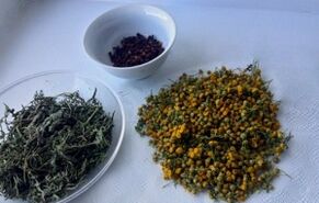 Kräuter zur Entfernung von Parasiten aus dem Körper